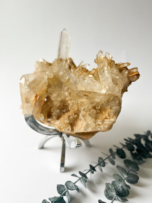 Golden Healer Himalayan Quartz
