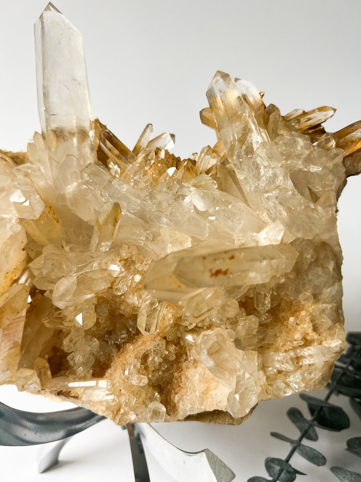 Golden Healer Himalayan Quartz