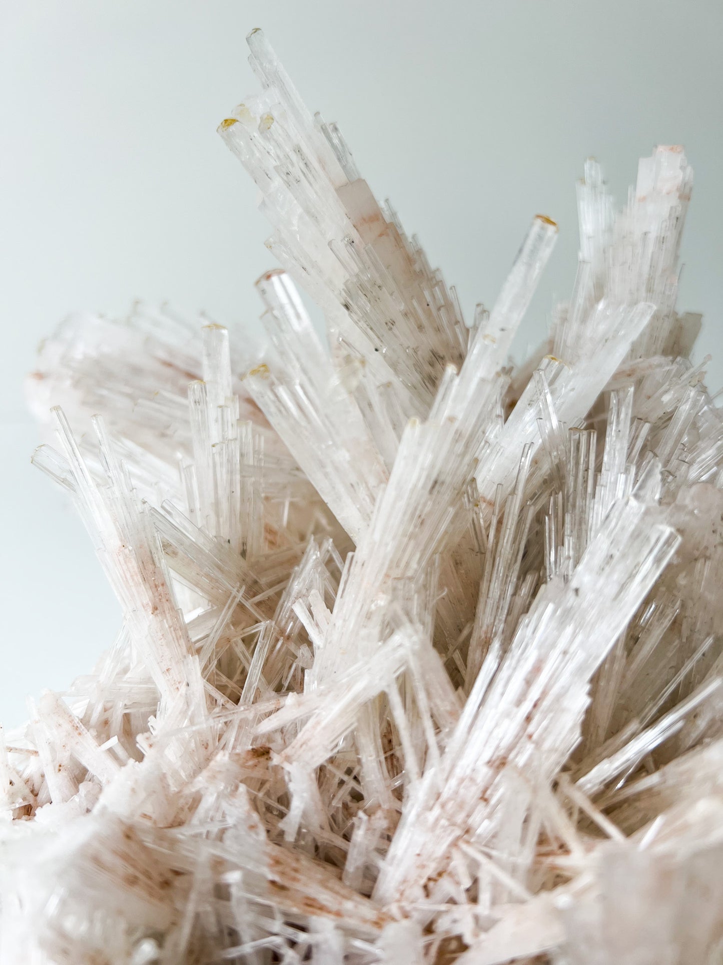 Pink Scolecite