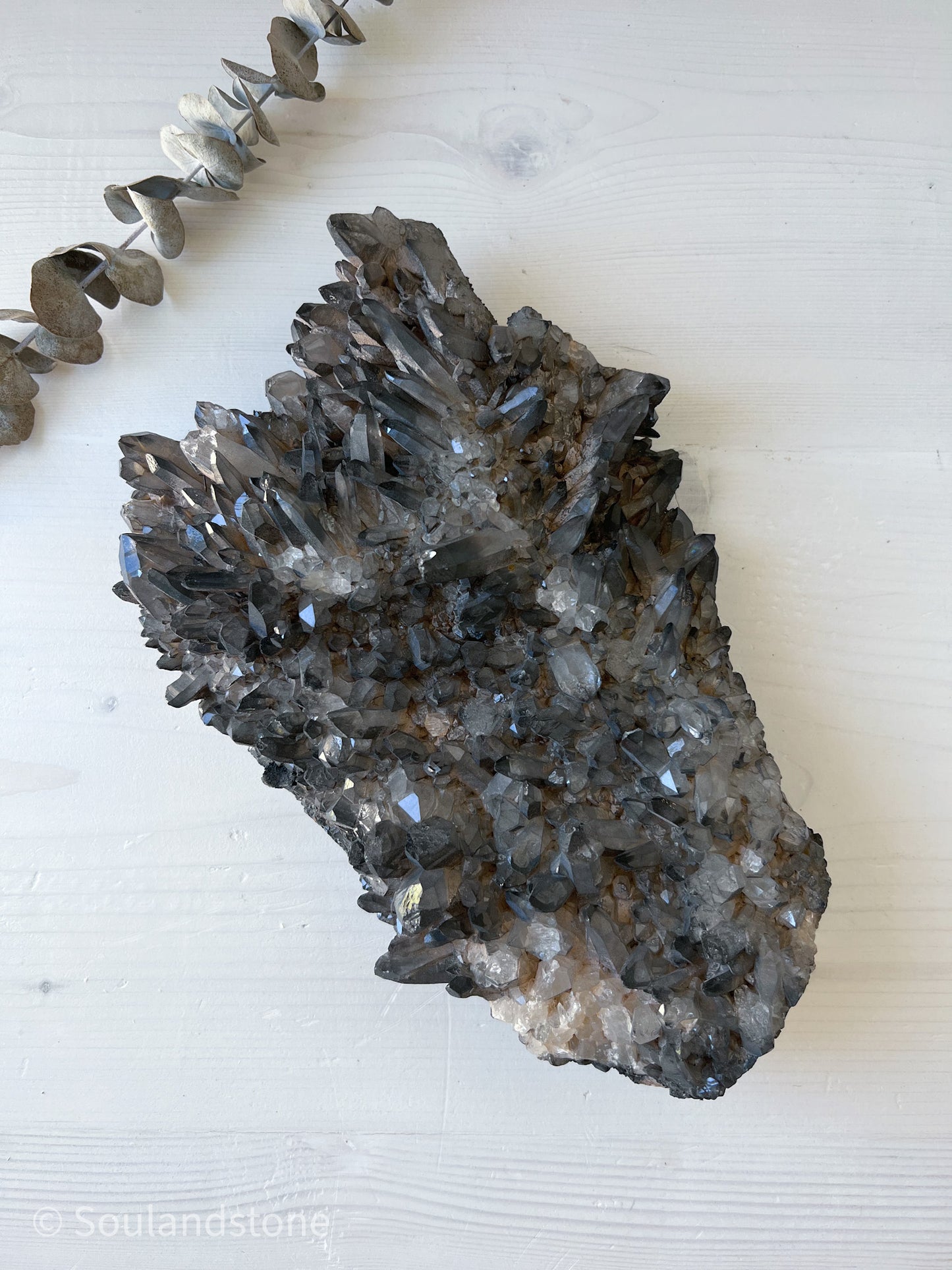 Charcoal covered Himalayan Samadhi Quartz