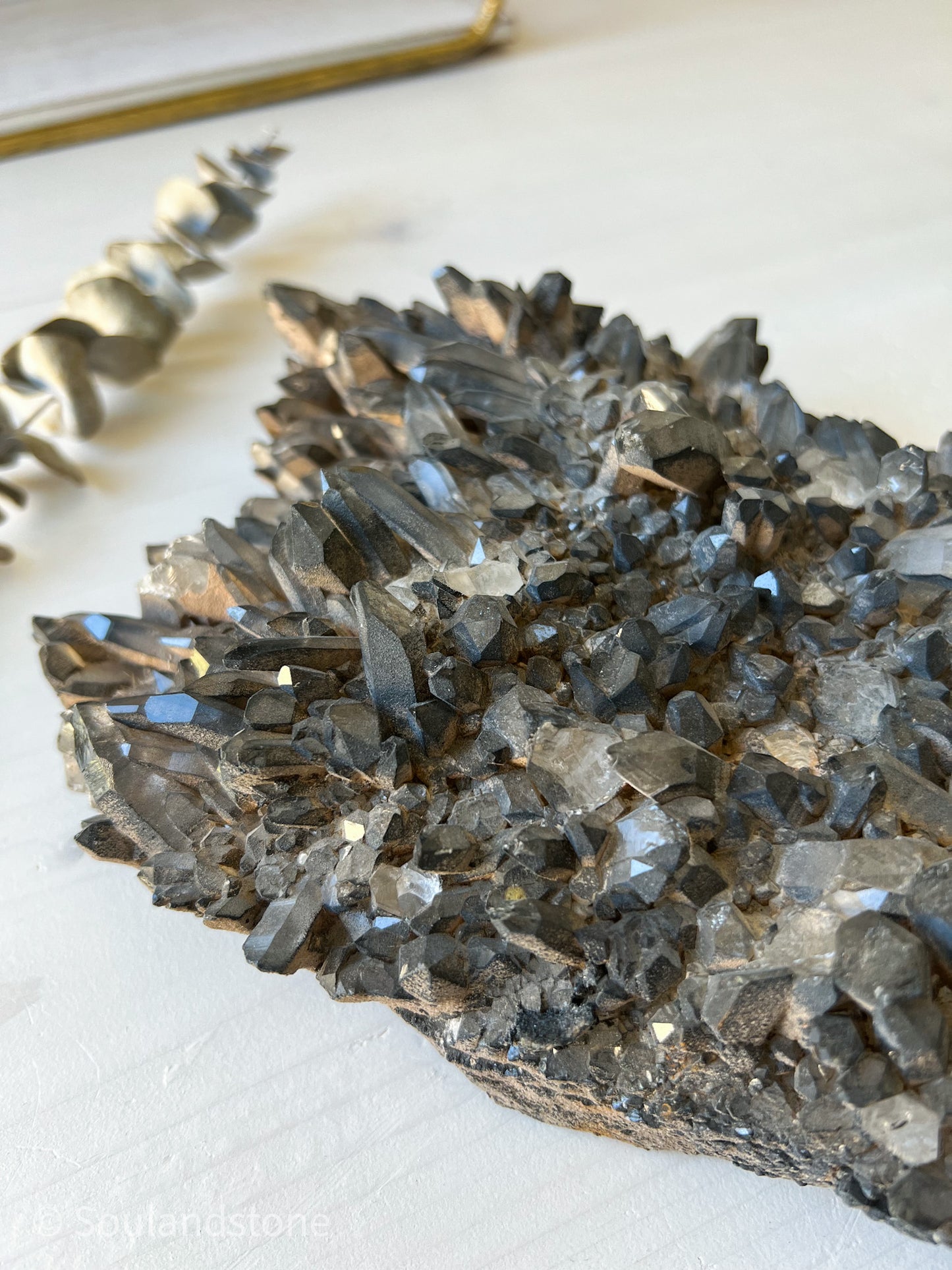 Charcoal covered Himalayan Samadhi Quartz