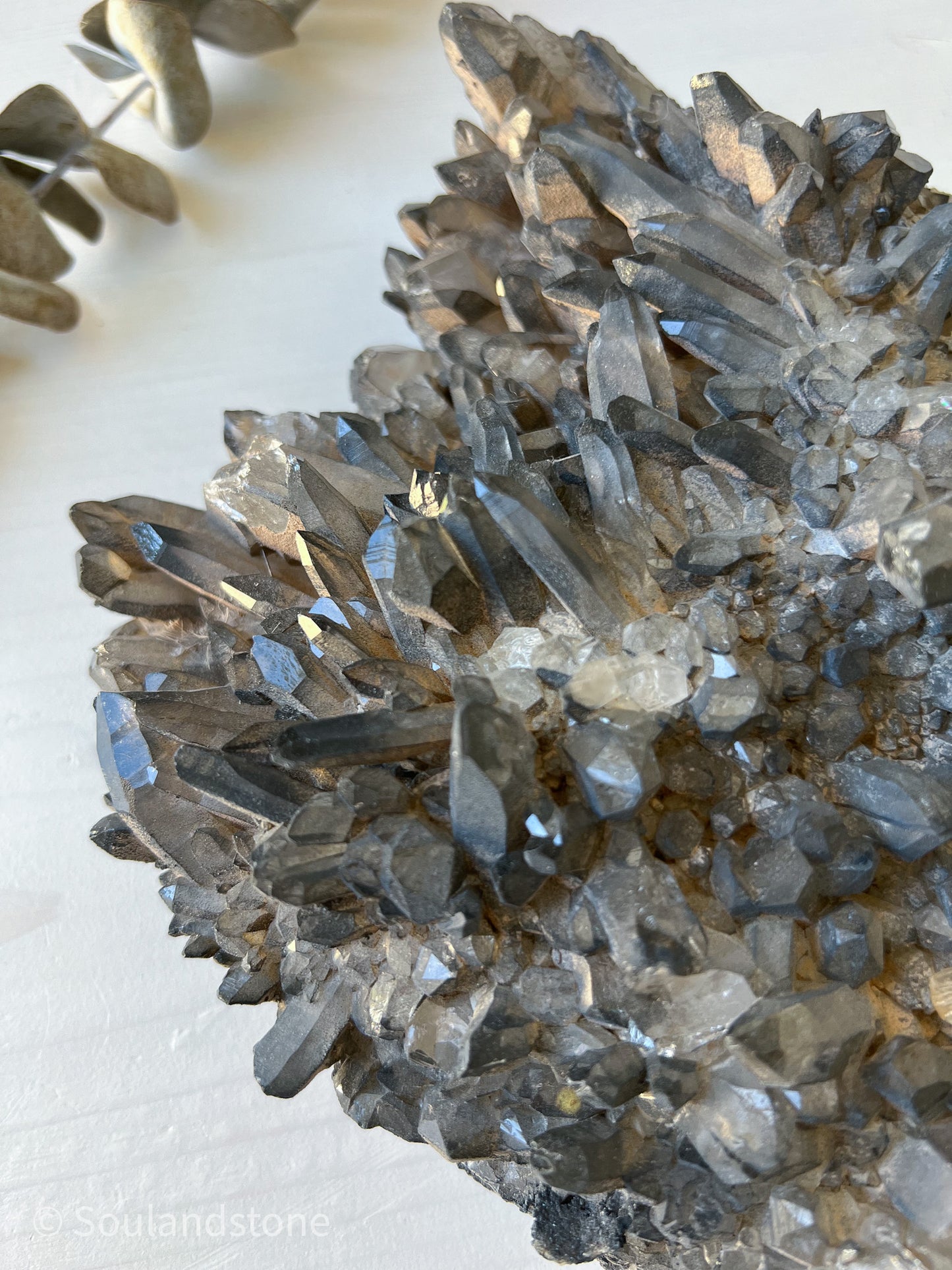 Charcoal covered Himalayan Samadhi Quartz