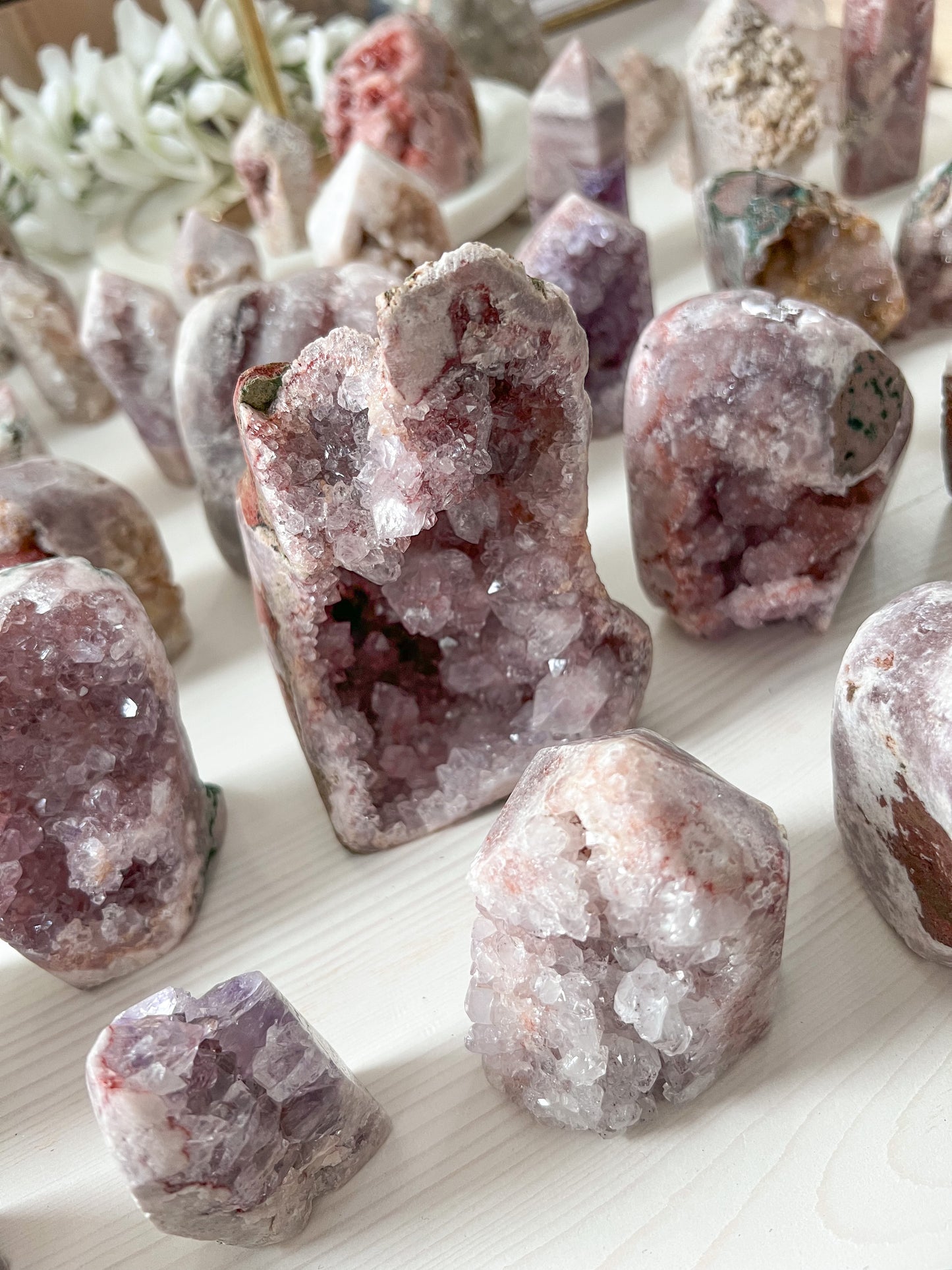 Live - Crystals n' Catz Amanda