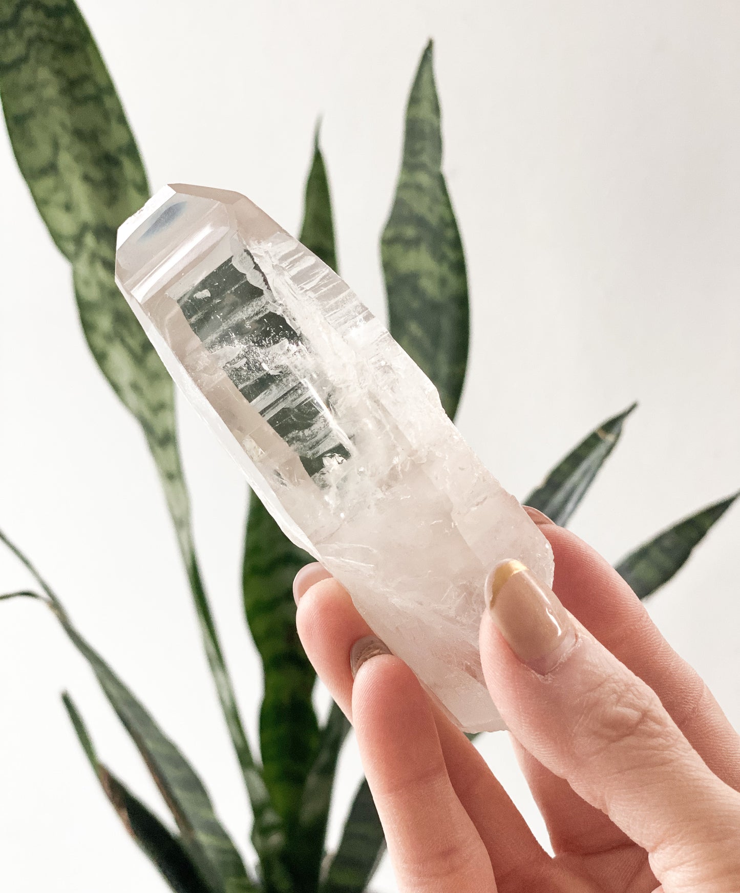 Lemurian Quartz Points