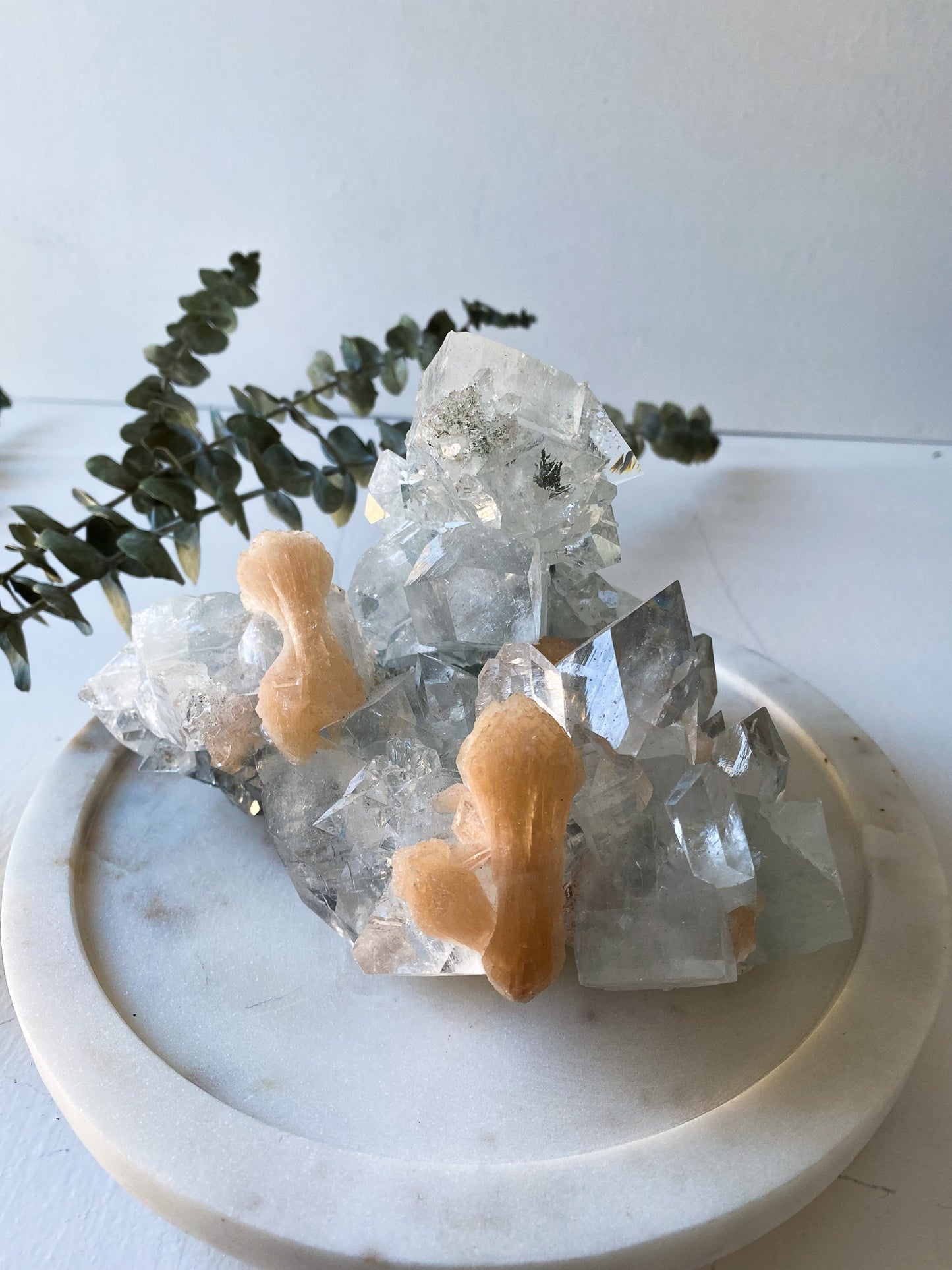 Clear Apophyllite with Peach Stillbit