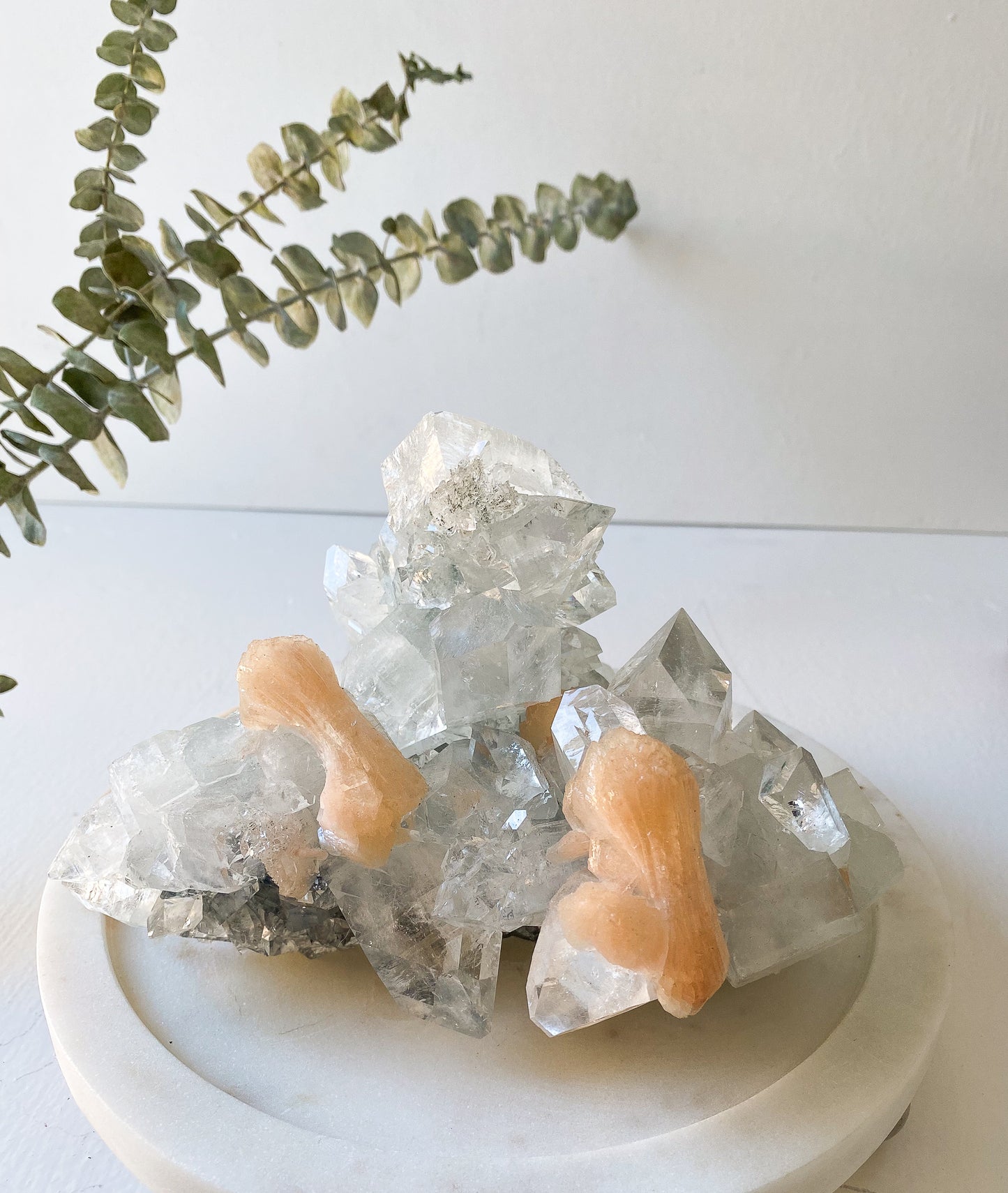 Clear Apophyllite with Peach Stillbit
