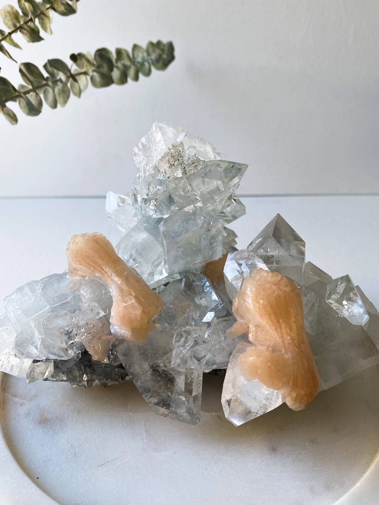 Clear Apophyllite with Peach Stillbit