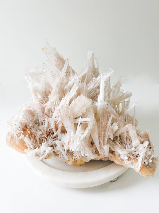 Pink Scolecite