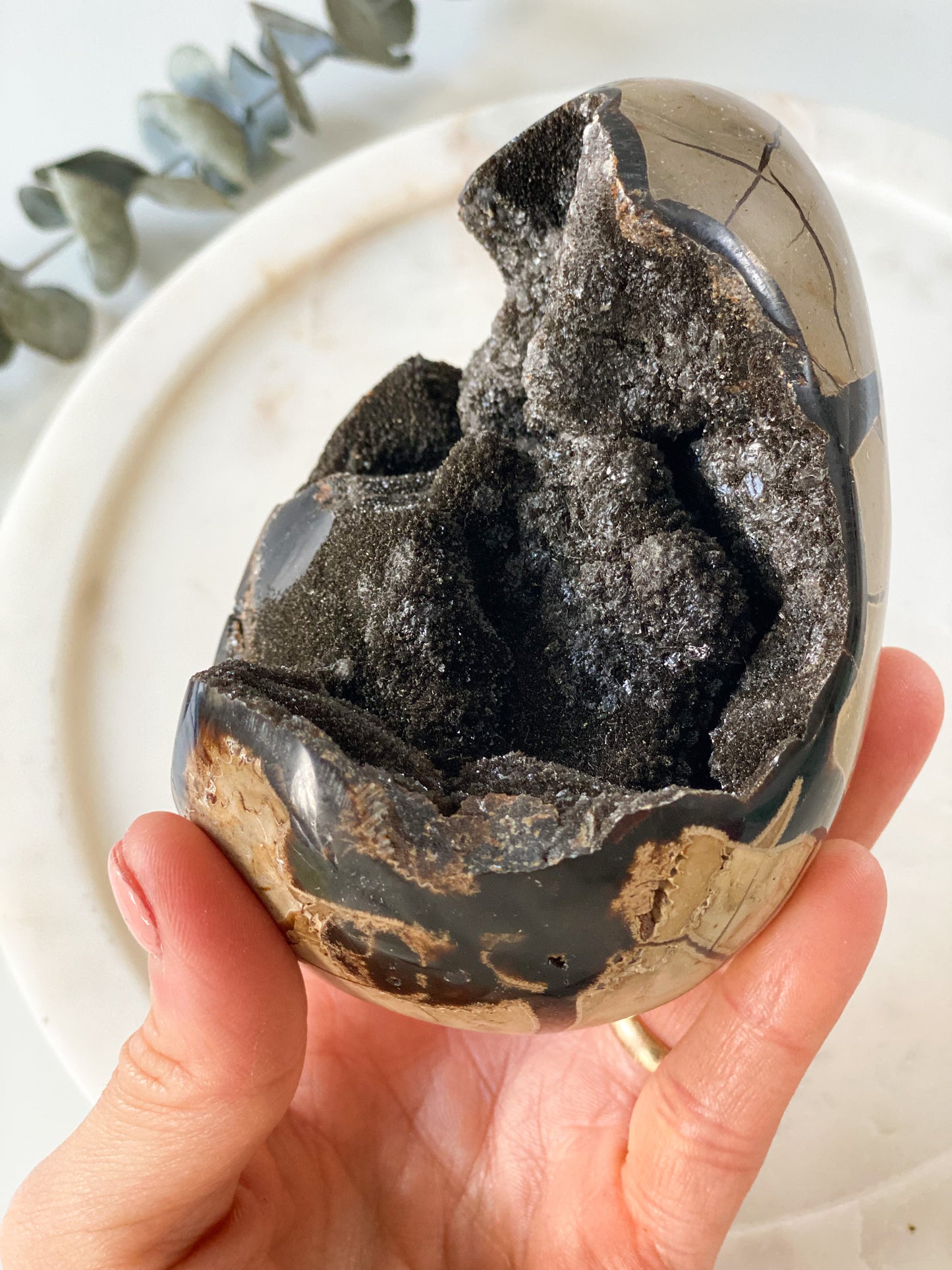 Septarian 'Dragon Egg'