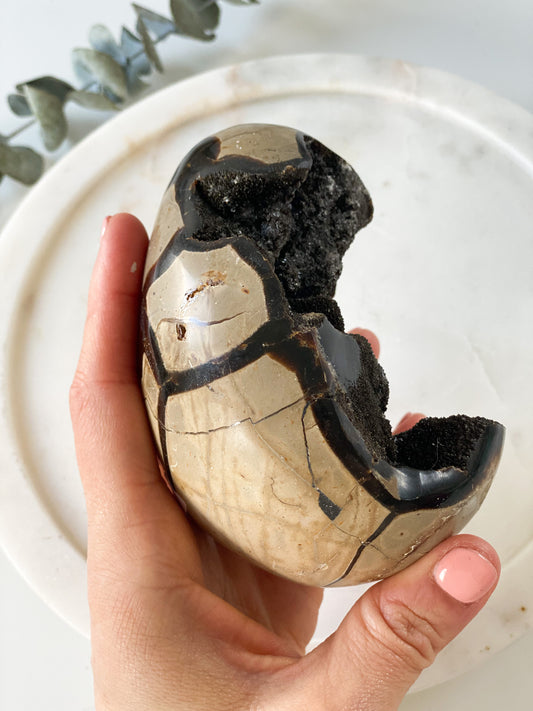 Septarian 'Dragon Egg'