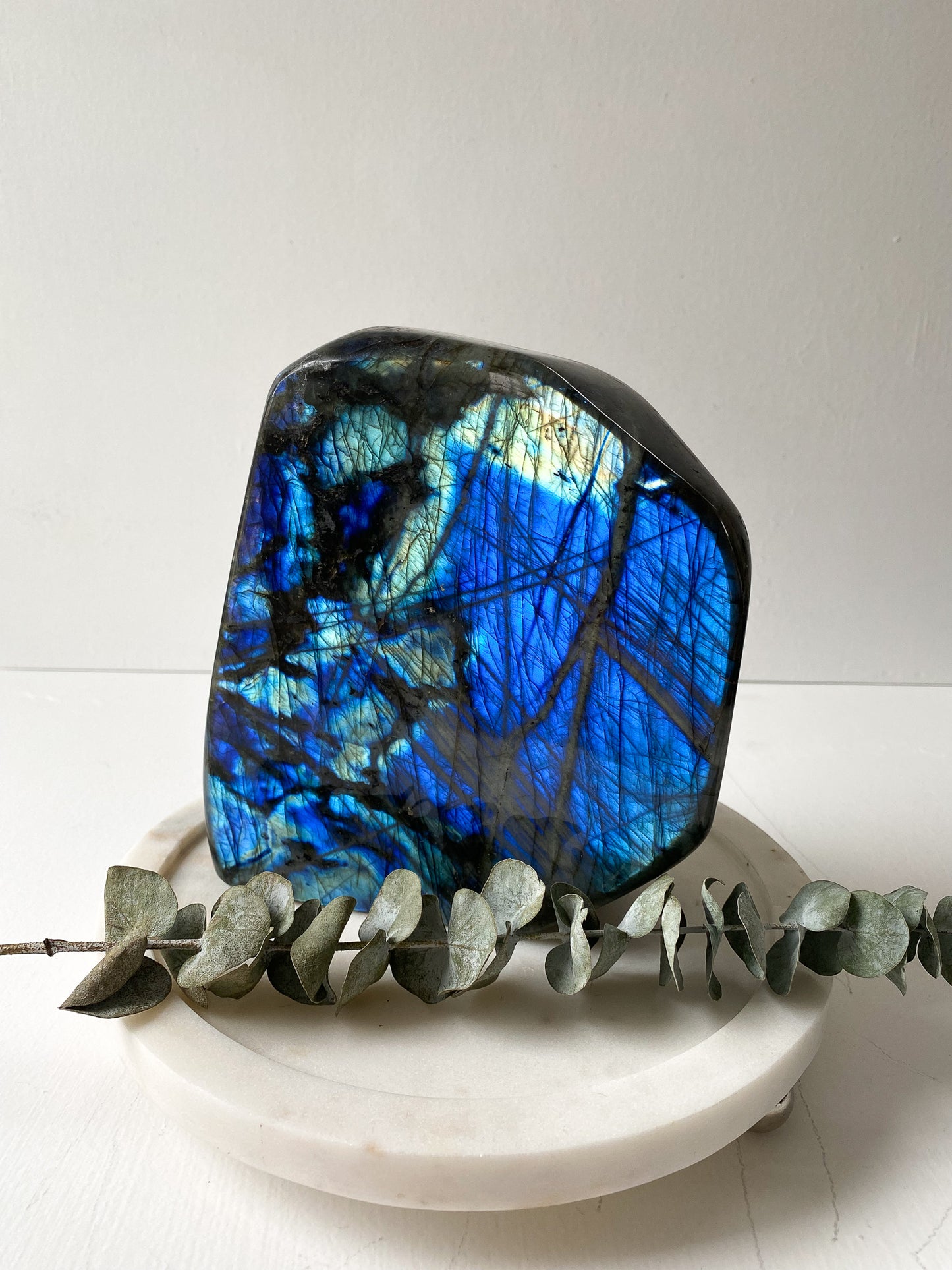 Labradorite Freeform- Extra Large