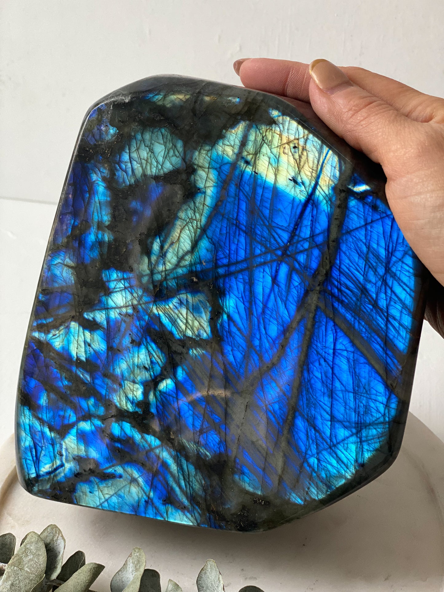 Labradorite Freeform- Extra Large