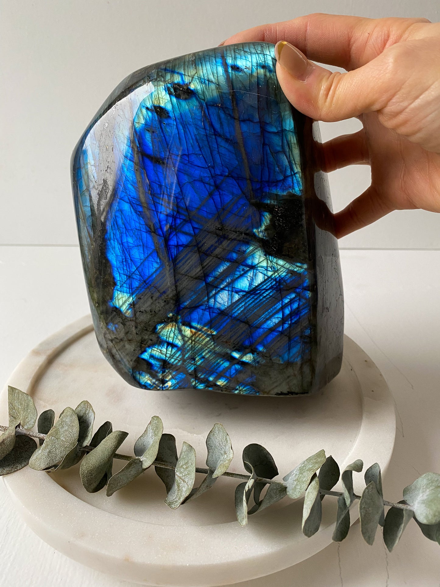 Labradorite Freeform- Extra Large